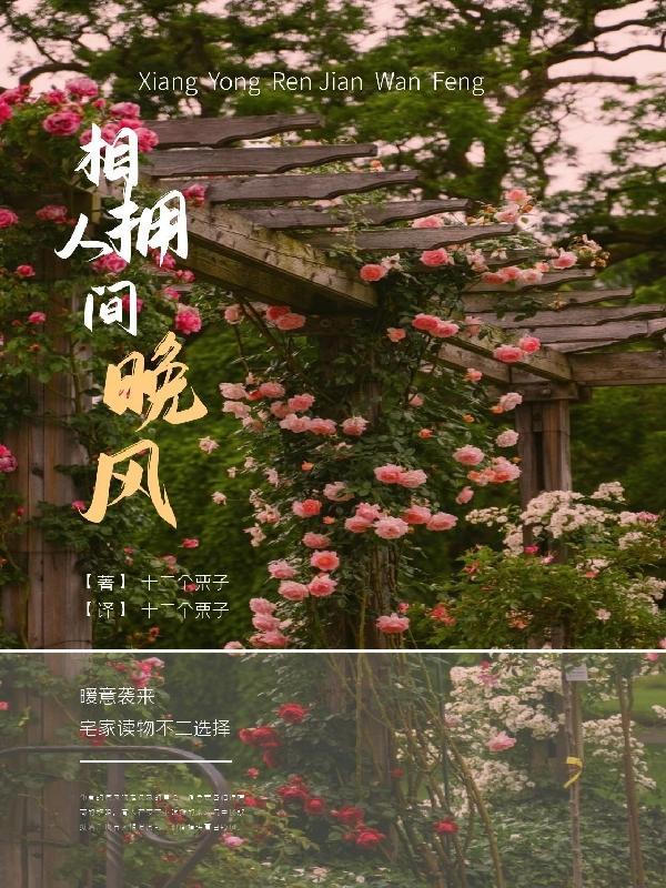 我只是晚风深情的相拥
