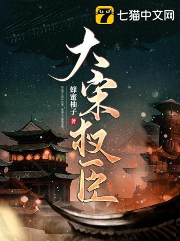 大宋权相女主角