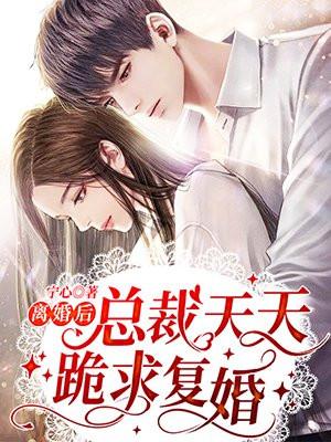离婚后总裁天天跪求复婚沈南歌