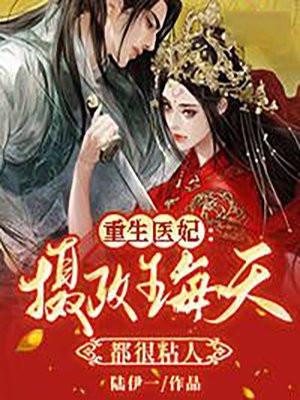 重生摄政王妃