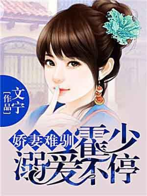 霍少娇妻太难宠
