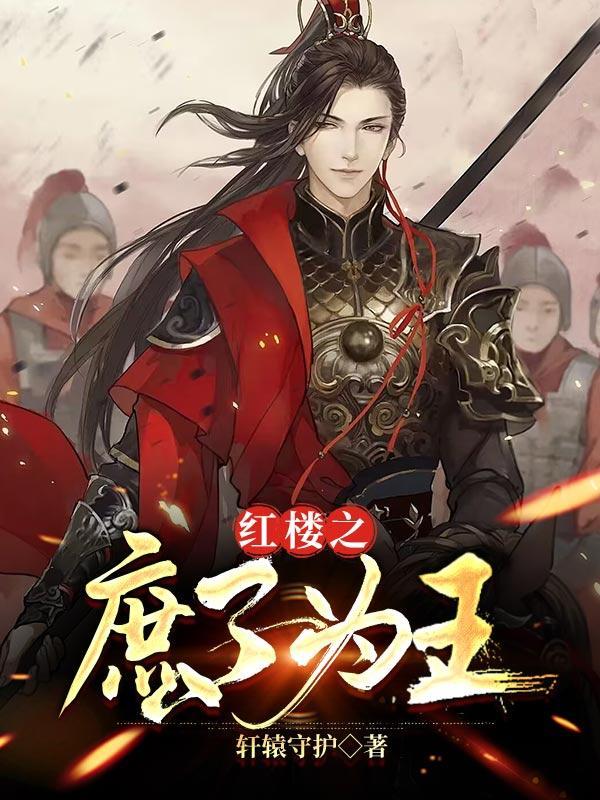 红楼之庶子为王加料