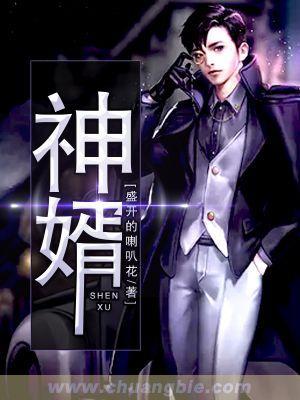 神婿叶凡免费全文阅读