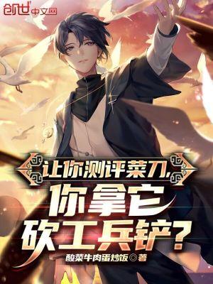 菜刀测评视频