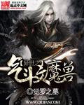 重生之异世斗气大陆