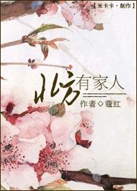 北方有佳人电视剧完整版免费观看