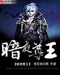 暗夜尊王萧子宁免费阅读全集