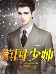 镇国少帅全部目录