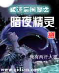 被遗忘国度之暗夜精灵第二部