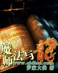 魔法师与龙淮翼