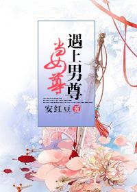 男尊遇上女尊