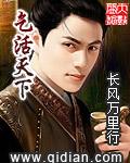布武天下