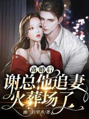 离婚后总裁追妻路漫漫楚天