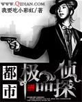都市之侦探