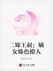 二嫁王妃全文免费阅读百度