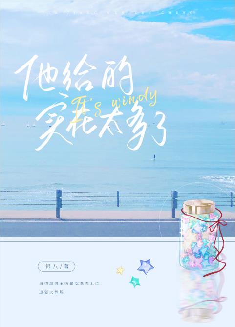 他给的实在太多了作者承越