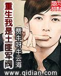 重生成土匪大当家的抗战