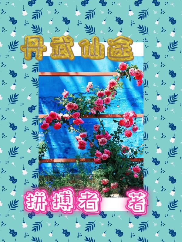 丹武仙帝全集免费听书