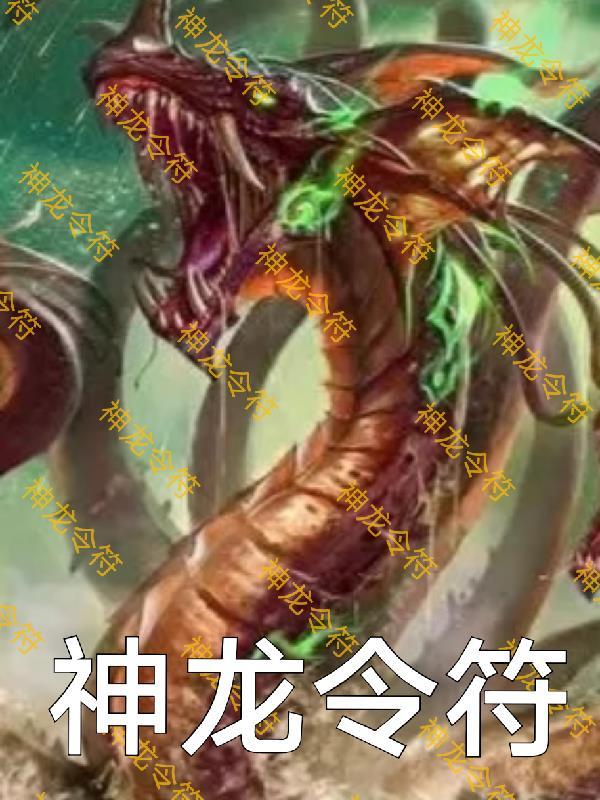 神龙令符 藏雪梨枪