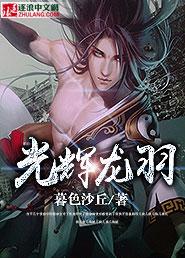 光辉羽翼技能