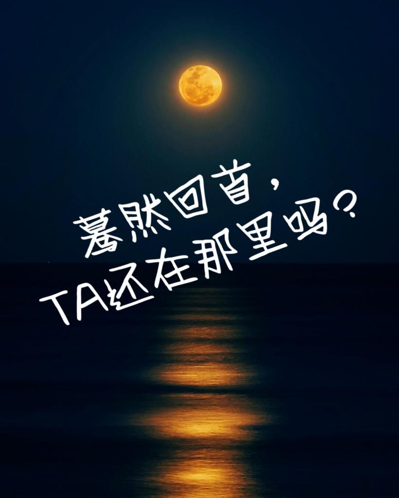 蓦然回首你在哪里