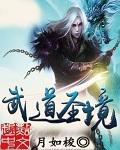 武道圣尊全集