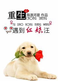 顶级红娘重生了