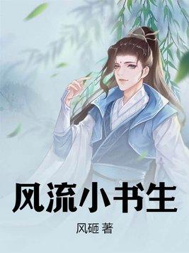 风流小书生 风砸