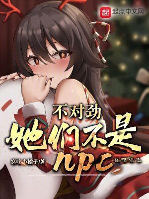 她们不是npc?h