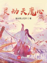 安心34天哪款好