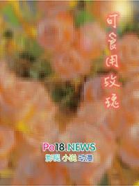 可食用玫瑰花有哪些品种