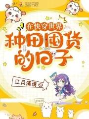 在快穿世界做npc的日子简介