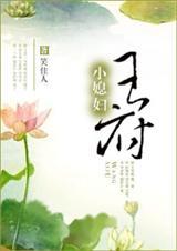 王府小媳妇完整txt百度云