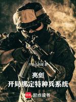 开局亮剑体统