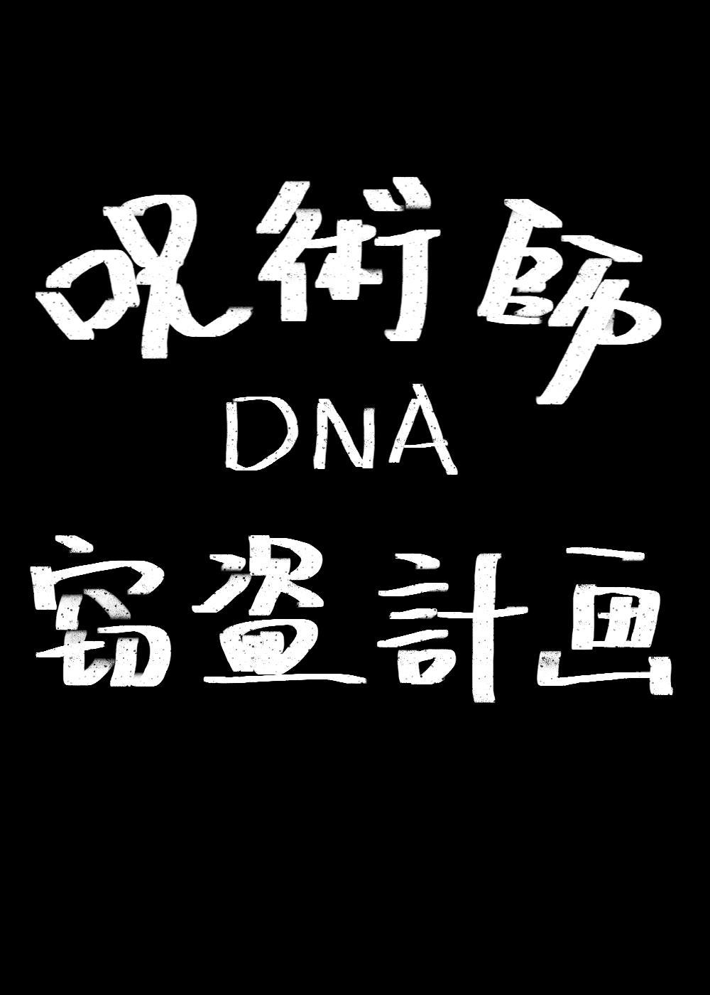 咒术师的作用