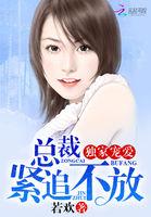 独家乖宠总裁追妻套路深免费阅读