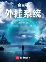 2020年最新全自动挂机项目