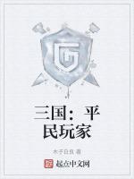 三国游戏攻略