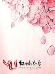 绯闻女友在线阅读