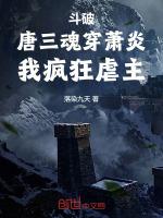 斗破唐三魂穿萧炎