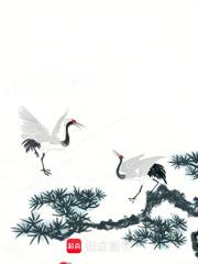 恒界gl