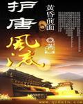 护唐风流笔趣阁