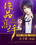 绝品高手作者红颜