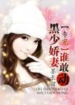 专宠黑少娇妻谁敢动 墨长留