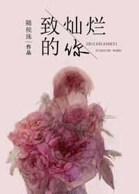 致灿烂的你第一部