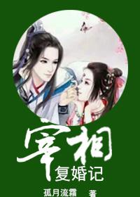 宰相妻免费阅读