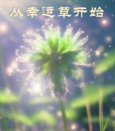 御兽开局契约熊猫