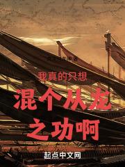我真的只想混个从龙之功啊无错版