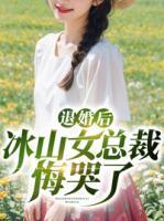 男主叫叶子风的电子书