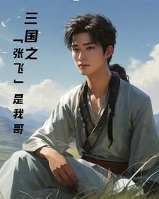 三国之我哥是诸葛亮